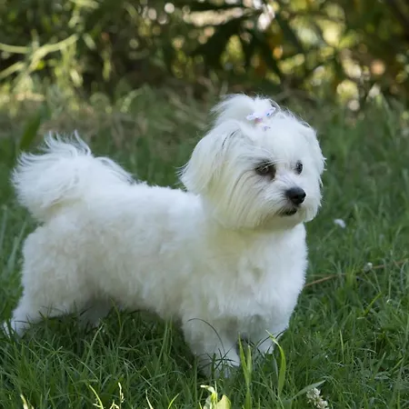 Apartamento Lovely House With View Over Salt Pans Timor