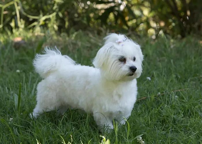 Appartamento Lovely House With View Over Salt Pans Timor