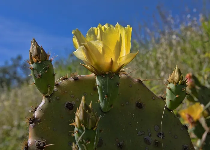 Appartement Lovely House With View Over Salt Pans Timor Sečovlje